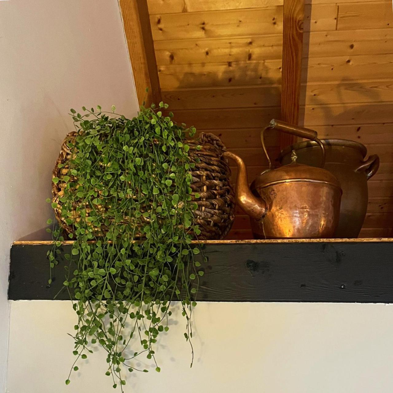 Kamperveen Aan De Hoge Weg Bed & Breakfast エクステリア 写真