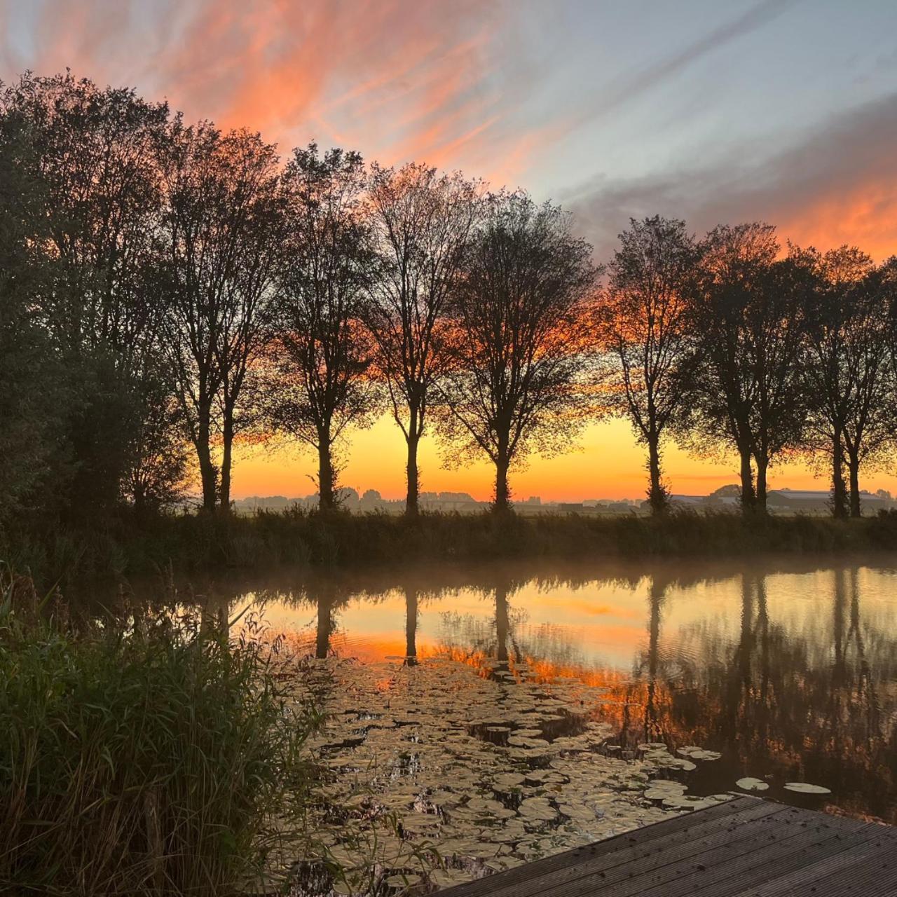Kamperveen Aan De Hoge Weg Bed & Breakfast エクステリア 写真