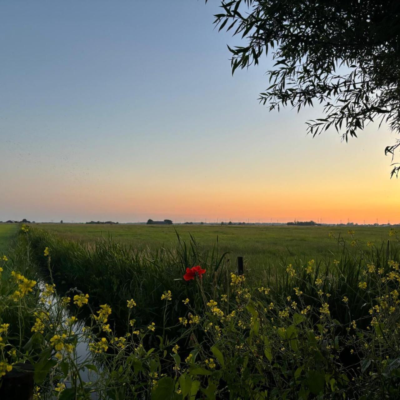Kamperveen Aan De Hoge Weg Bed & Breakfast エクステリア 写真