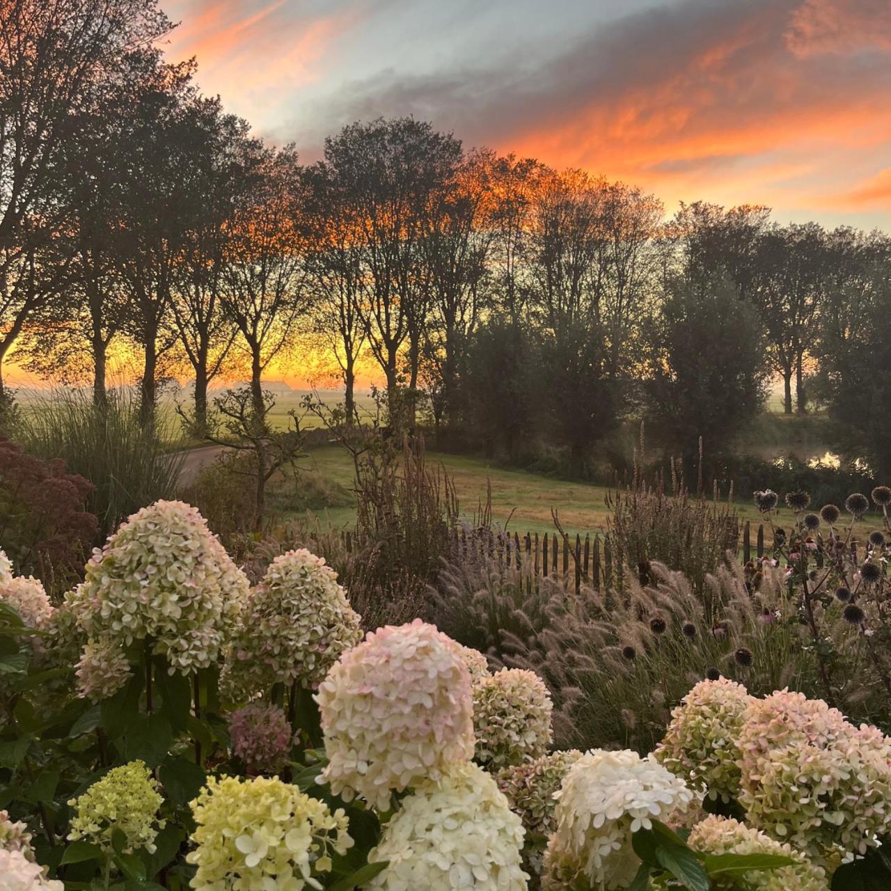 Kamperveen Aan De Hoge Weg Bed & Breakfast エクステリア 写真