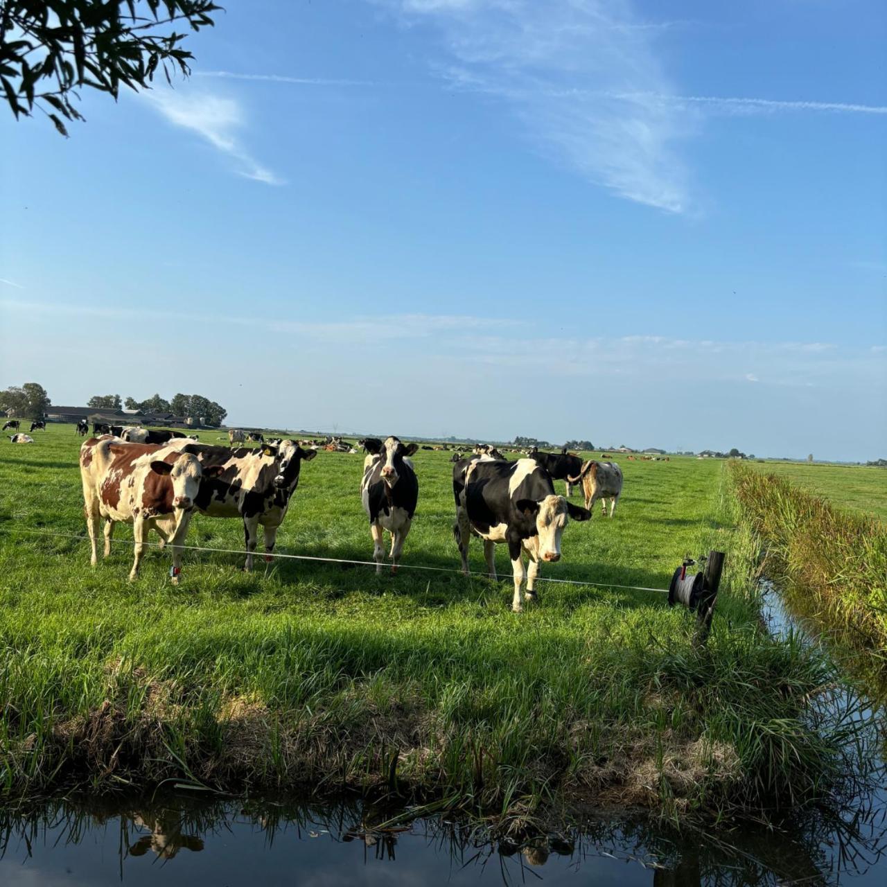 Kamperveen Aan De Hoge Weg Bed & Breakfast エクステリア 写真